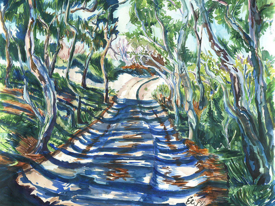 "Woods in the Dunes, Cape Cod"