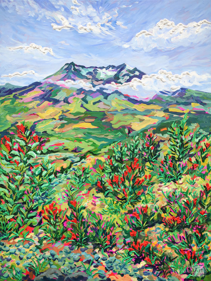 Indian Paintbrush at Mount St. Helens