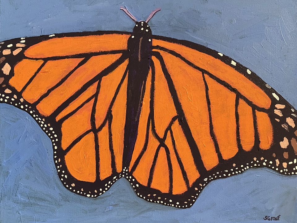 Monarch Butterfly