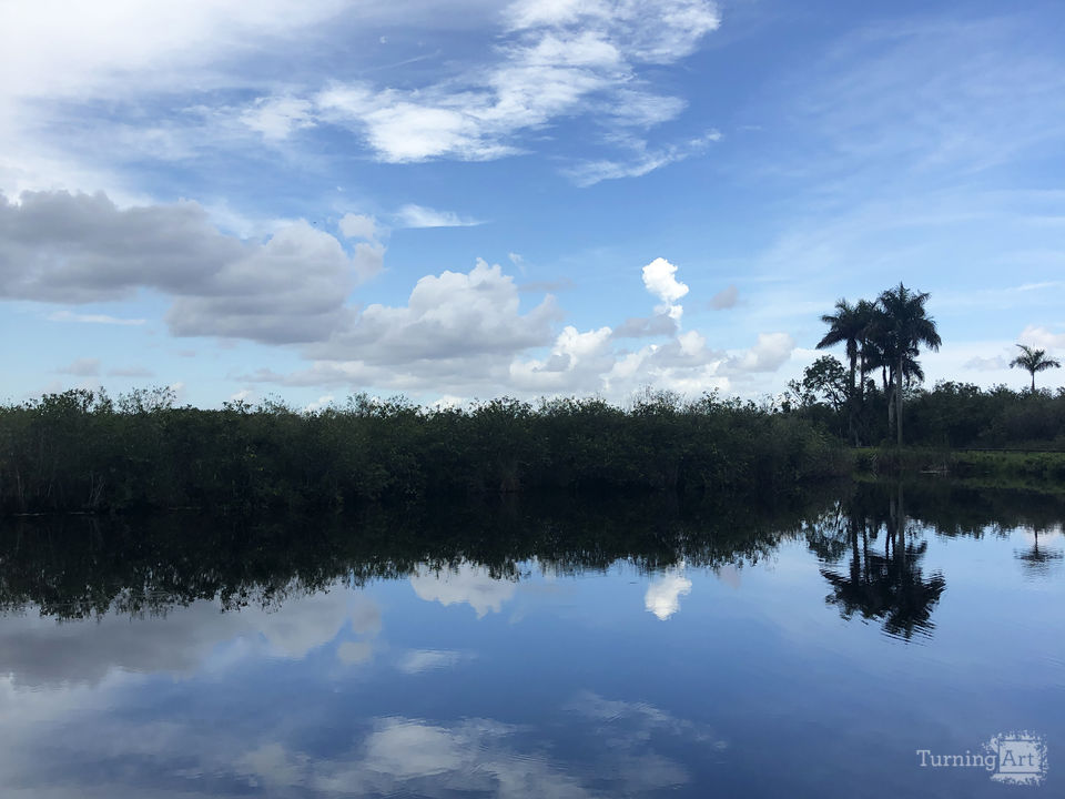 Everglades 11