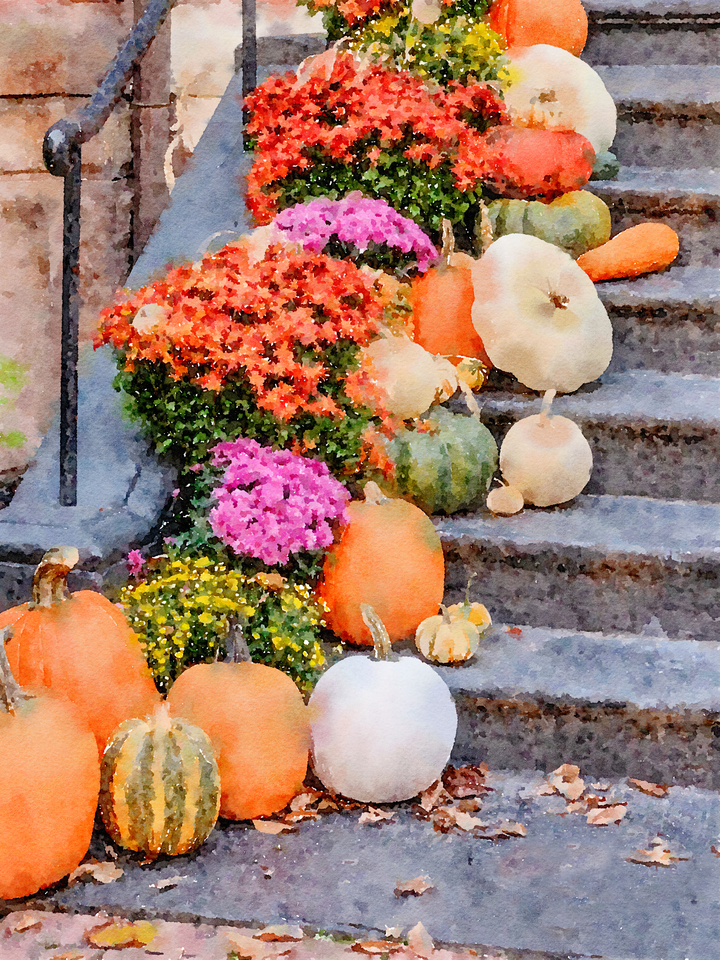 Back Bay Pumpkins
