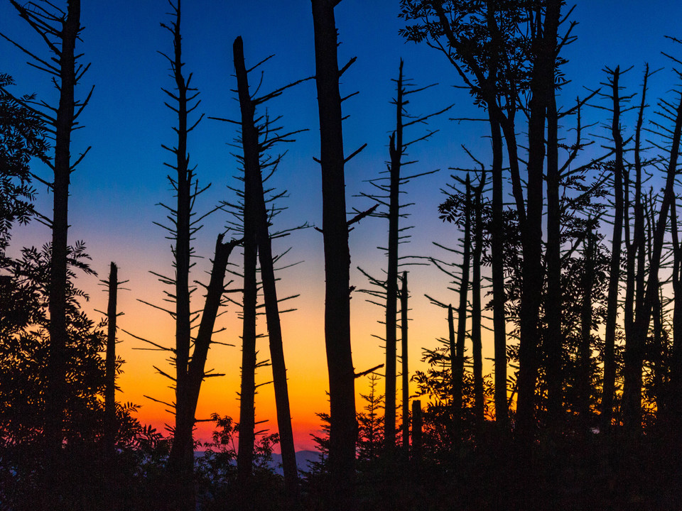 Acid Rain Sunset