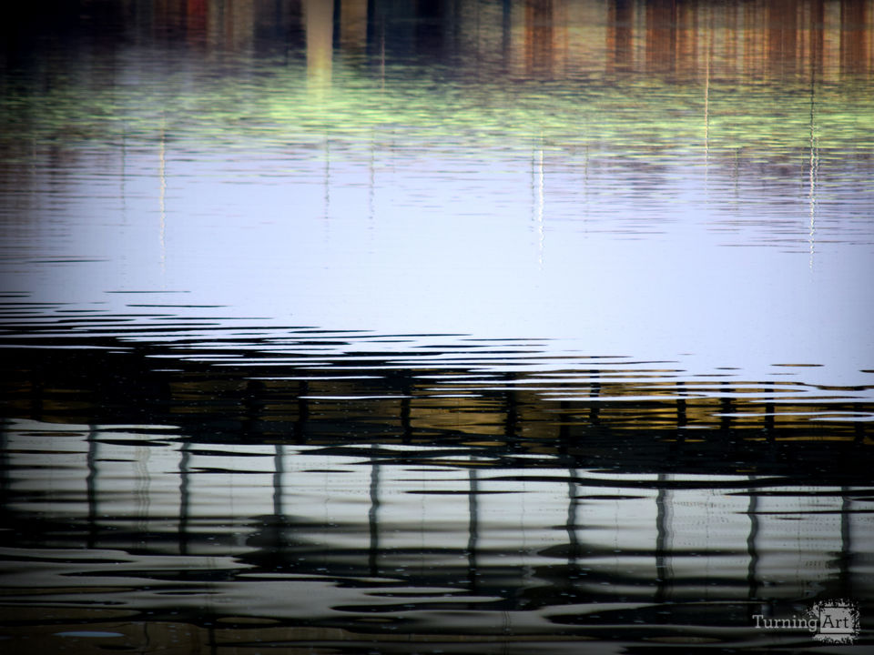 View From the Bridge