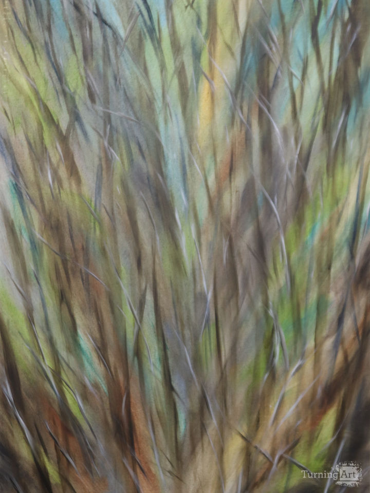 Tradition Lake - Spring