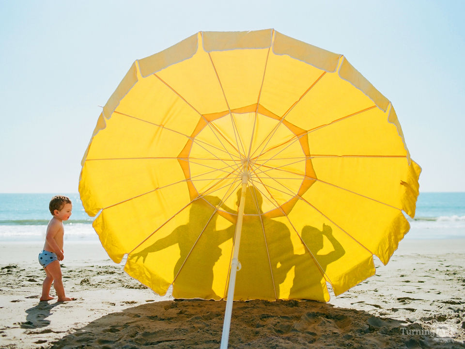 The Big Yellow Beach Umbrella