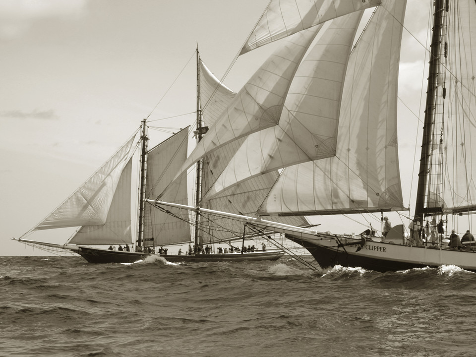 Start of 2006 Gloucester Schooner Race