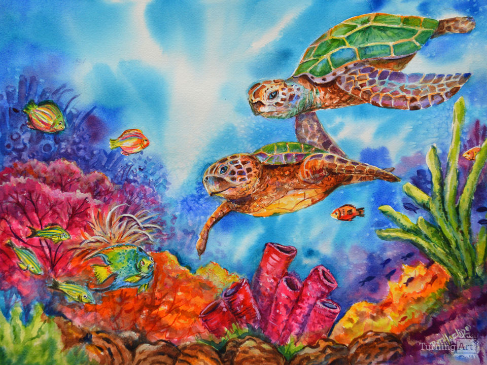 Sea Turtles Drifting in coral