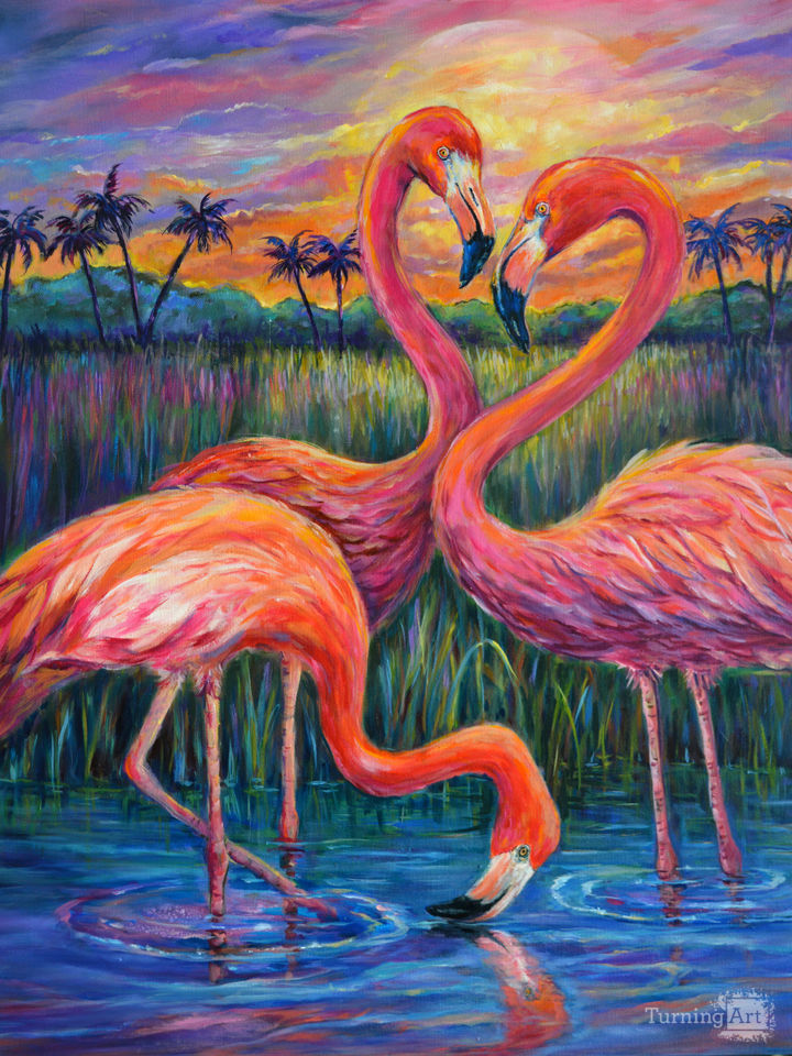 Flamingo Love