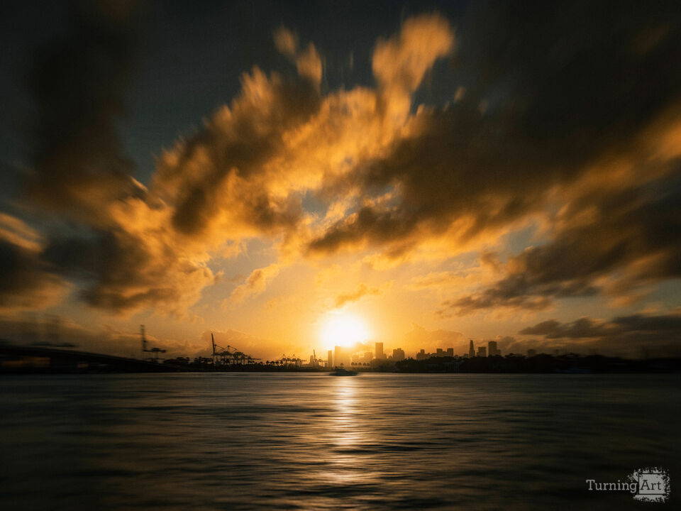 Series 79: Miami Fake Beauty No Love