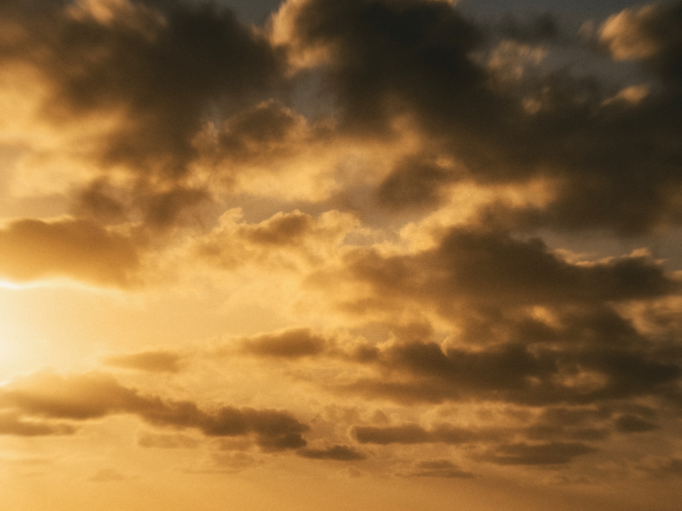 Series 79: Miami Fake Beauty No Love