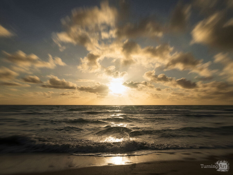 Series 79: Miami Fake Beauty No Love