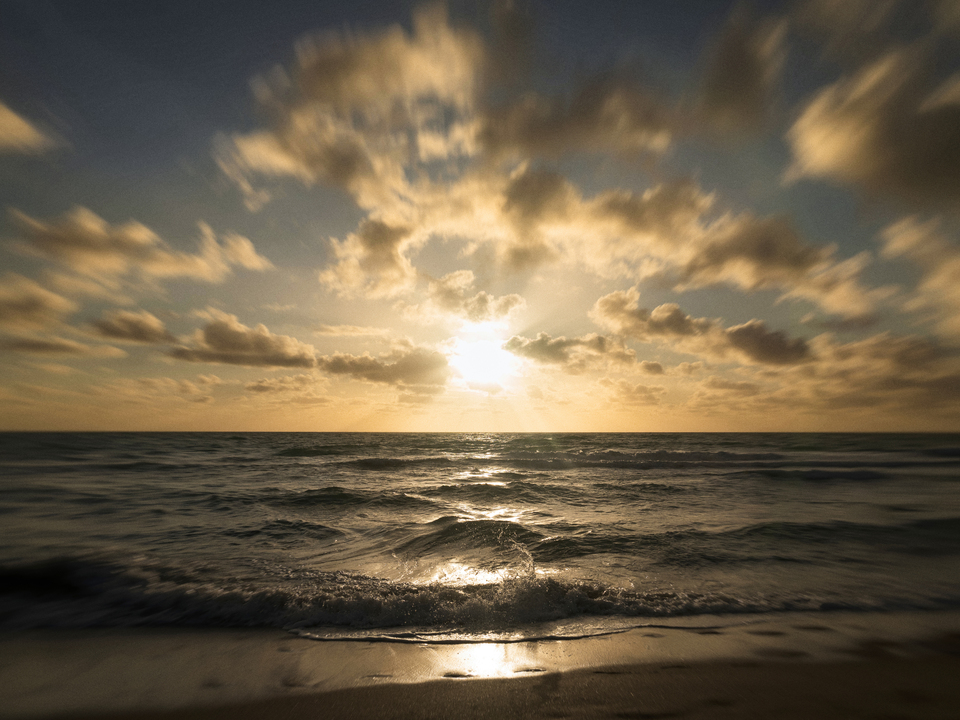 Series 79: Miami Fake Beauty No Love