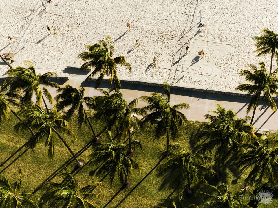 Series 79: Miami Fake Beauty No Love