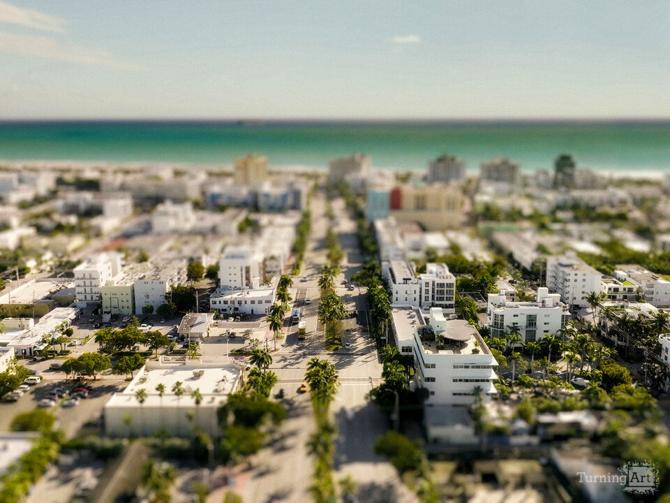 Series 79: Miami Fake Beauty No Love