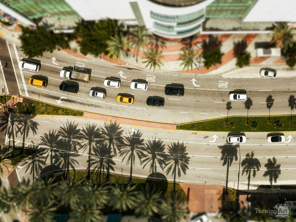 Series 79: Miami Fake Beauty No Love