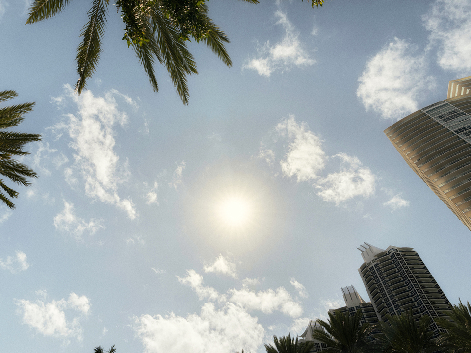 Series 79: Miami Fake Beauty No Love