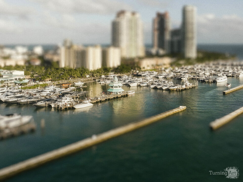 Series 79: Miami Fake Beauty No Love