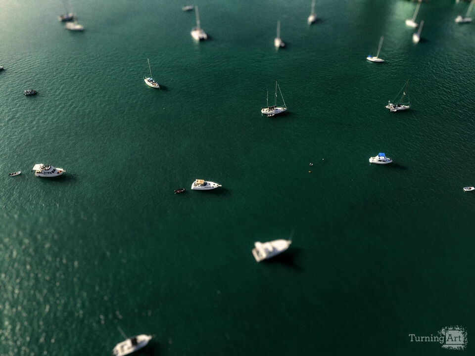 Series 79: Miami Fake Beauty No Love