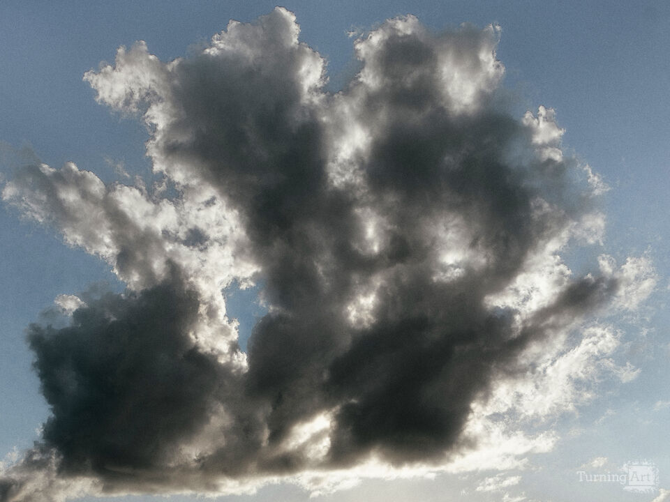 Series 79: Miami Fake Beauty No Love