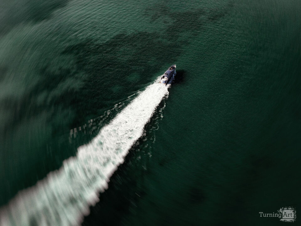 Series 79: Miami Fake Beauty No Love