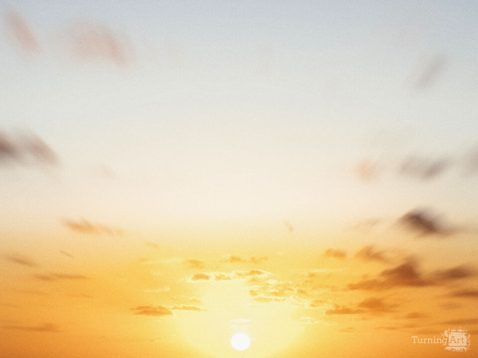 Series 80: Latina Fantasies Tropical Intentions