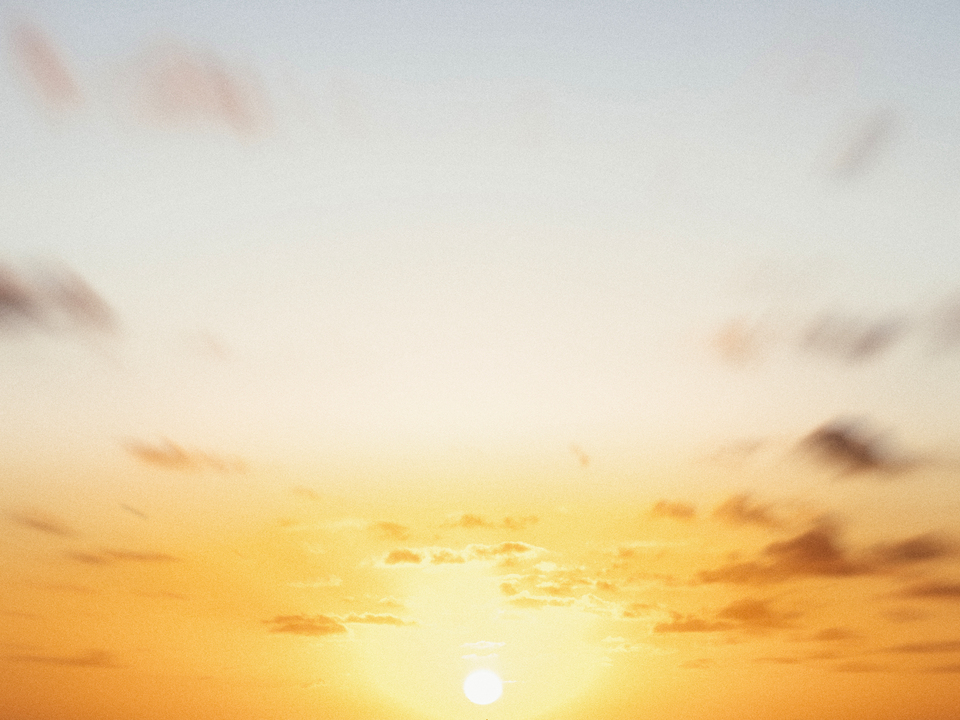 Series 80: Latina Fantasies Tropical Intentions