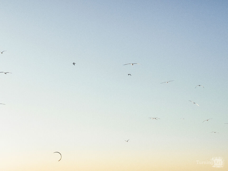 Series 80: Latina Fantasies Tropical Intentions