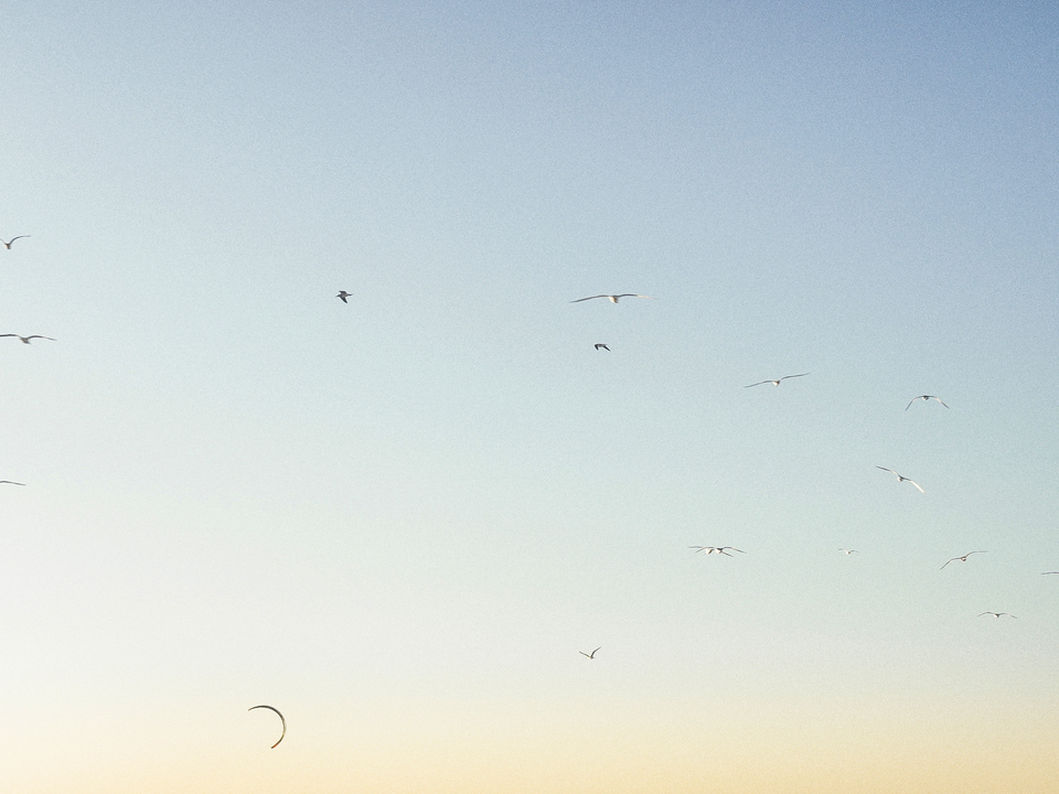 Series 80: Latina Fantasies Tropical Intentions