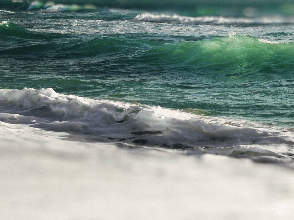 Series 80: Latina Fantasies Tropical Intentions