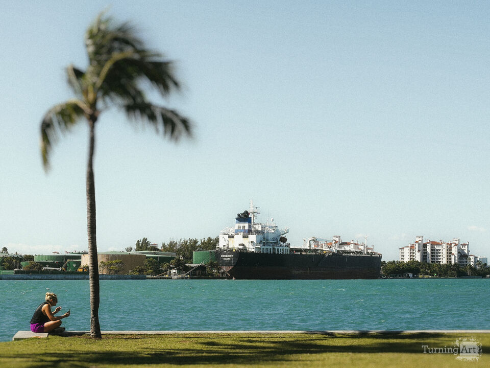 Series 80: Latina Fantasies Tropical Intentions