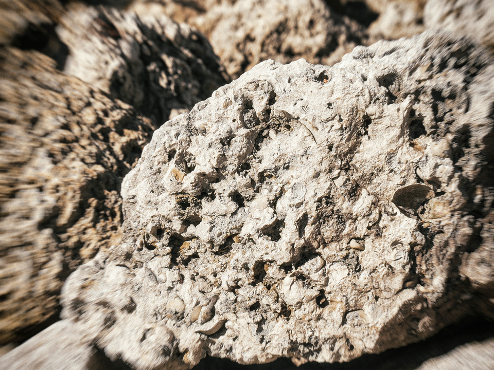 Series 80: Latina Fantasies Tropical Intentions