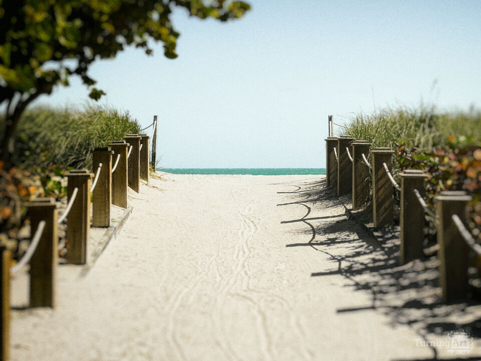 Series 80: Latina Fantasies Tropical Intentions