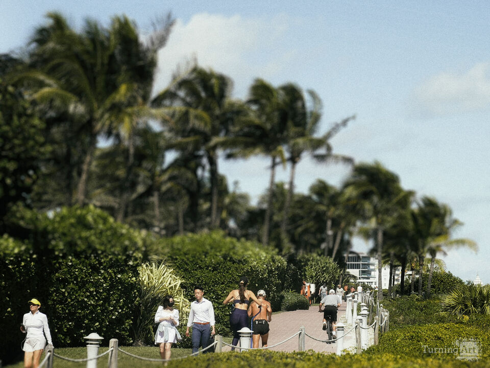 Series 80: Latina Fantasies Tropical Intentions