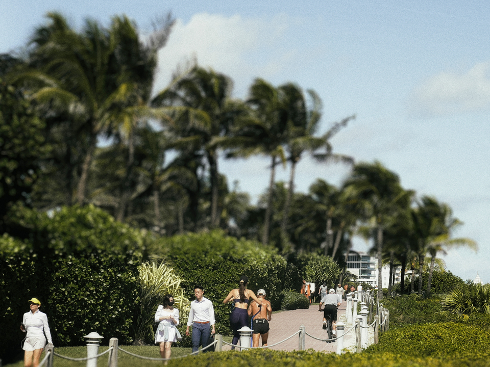 Series 80: Latina Fantasies Tropical Intentions