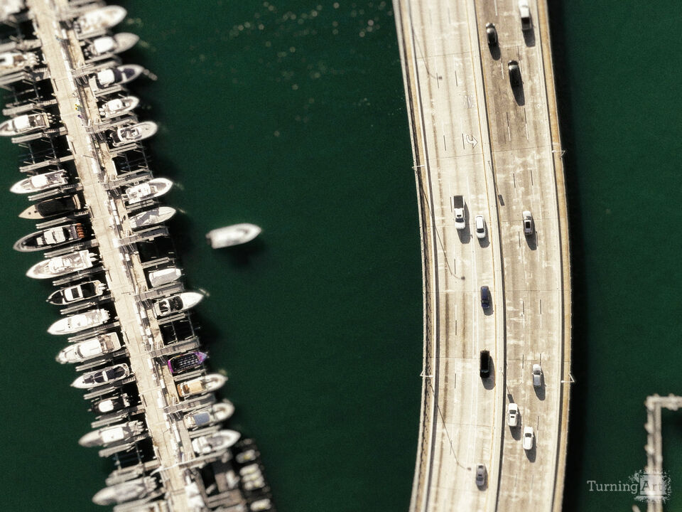 Series 80: Latina Fantasies Tropical Intentions