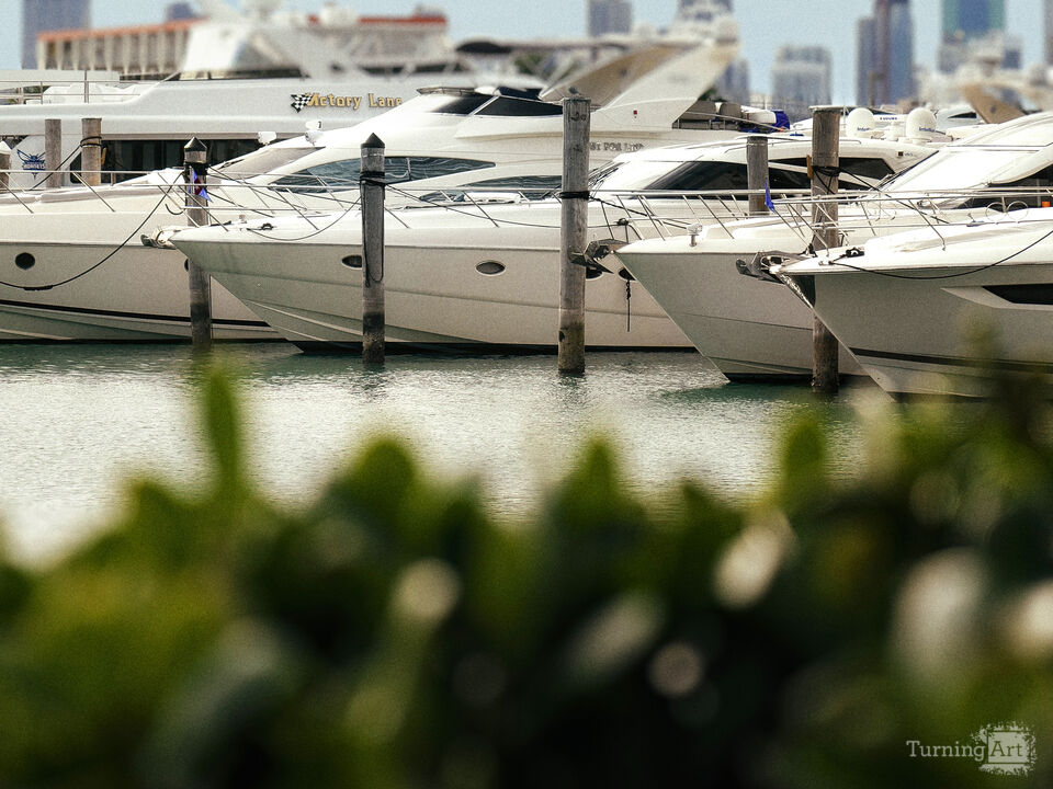 Series 80: Latina Fantasies Tropical Intentions