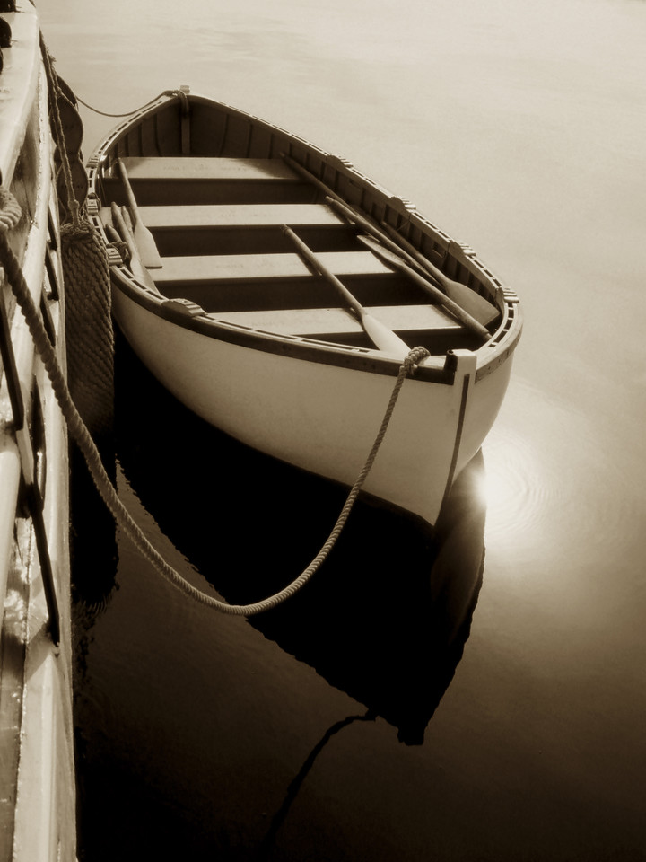 Calm Dory in Camden Maine