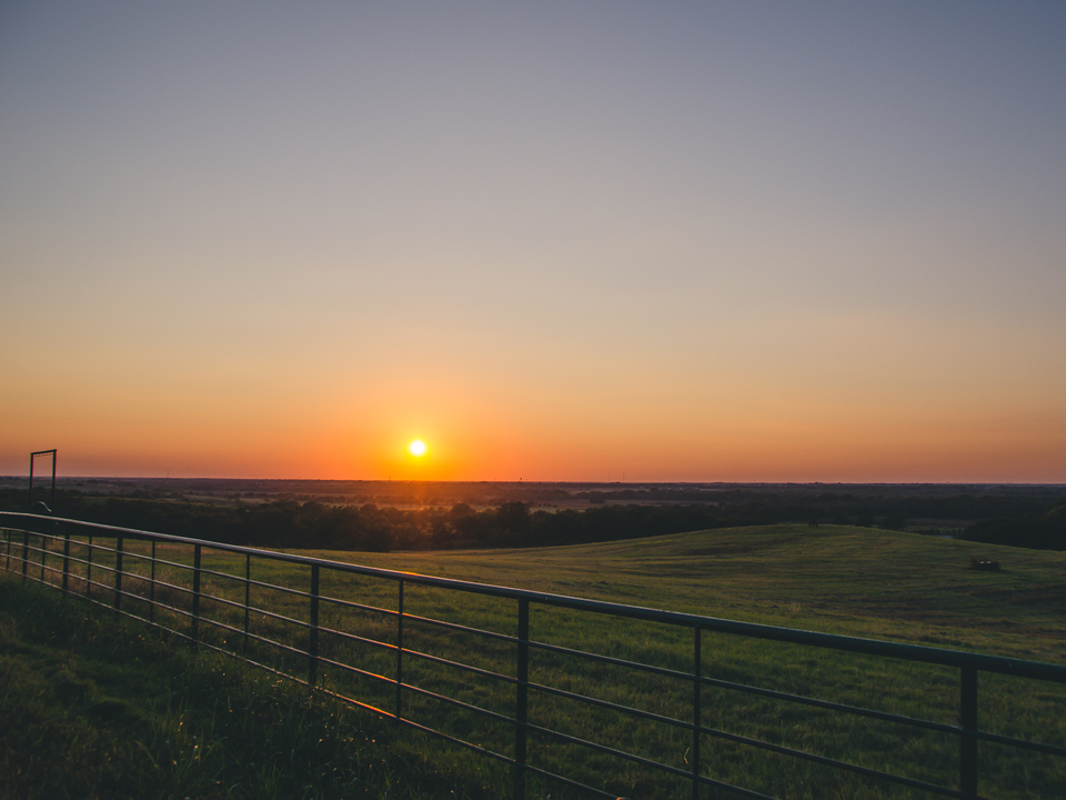 From Texas With Love