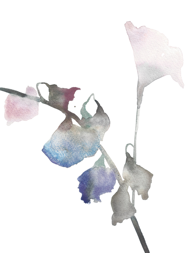 Botanical Study No. 9