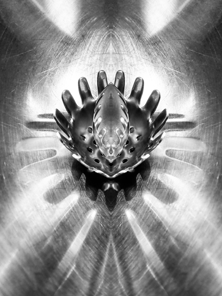 Symmetry Experiment 015