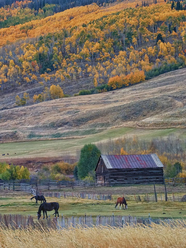 Colorado Horse Ranch