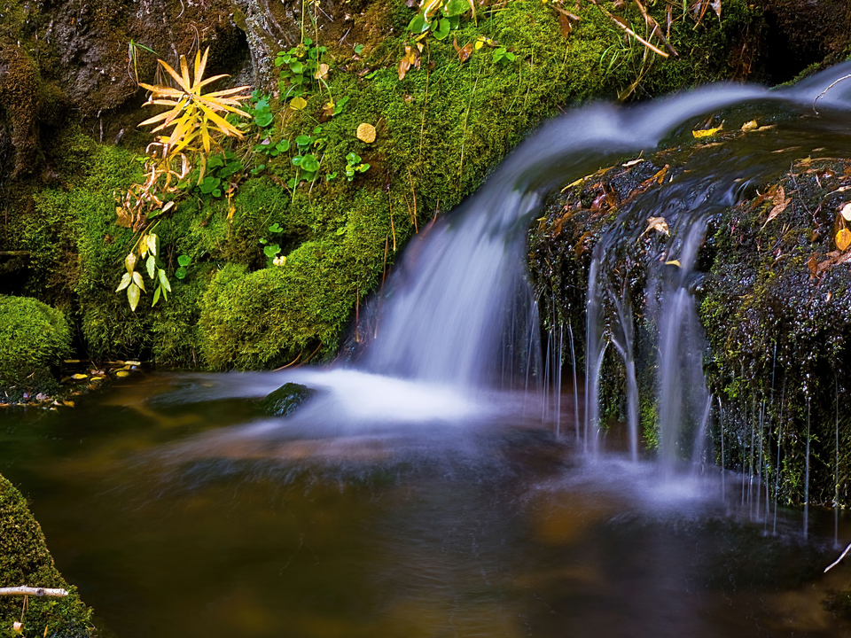 Alpine Waterfall