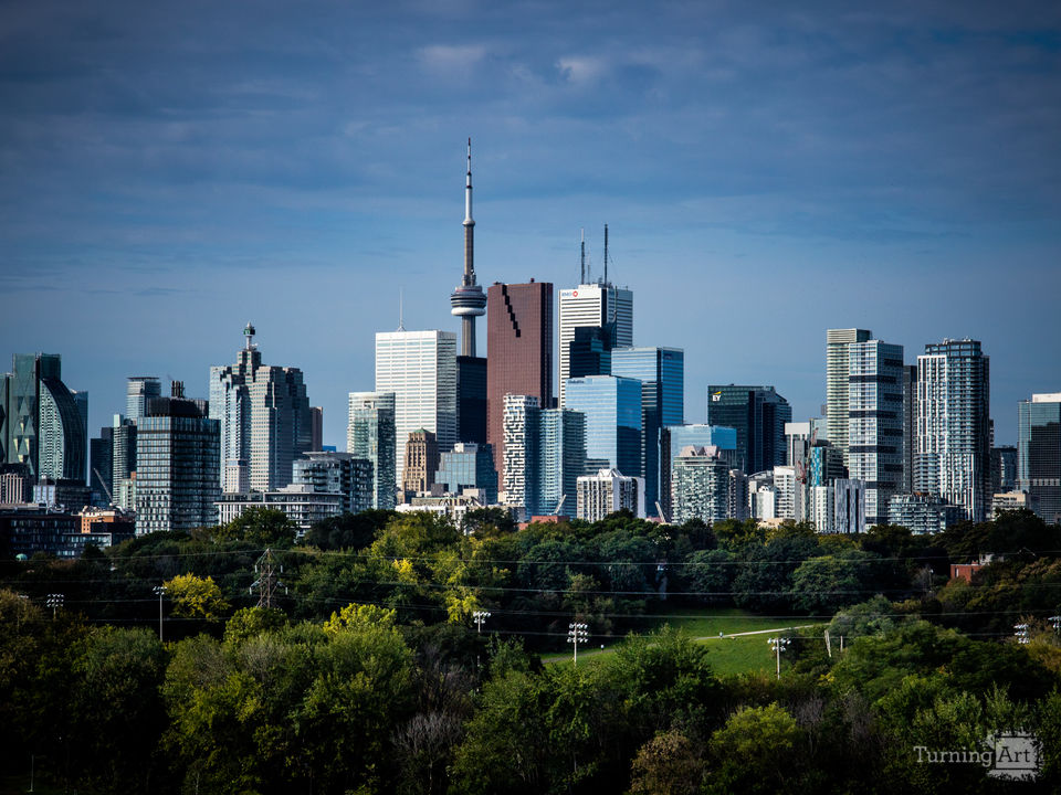 Toronto Skyline From Riverdale Park No 5 Color Version