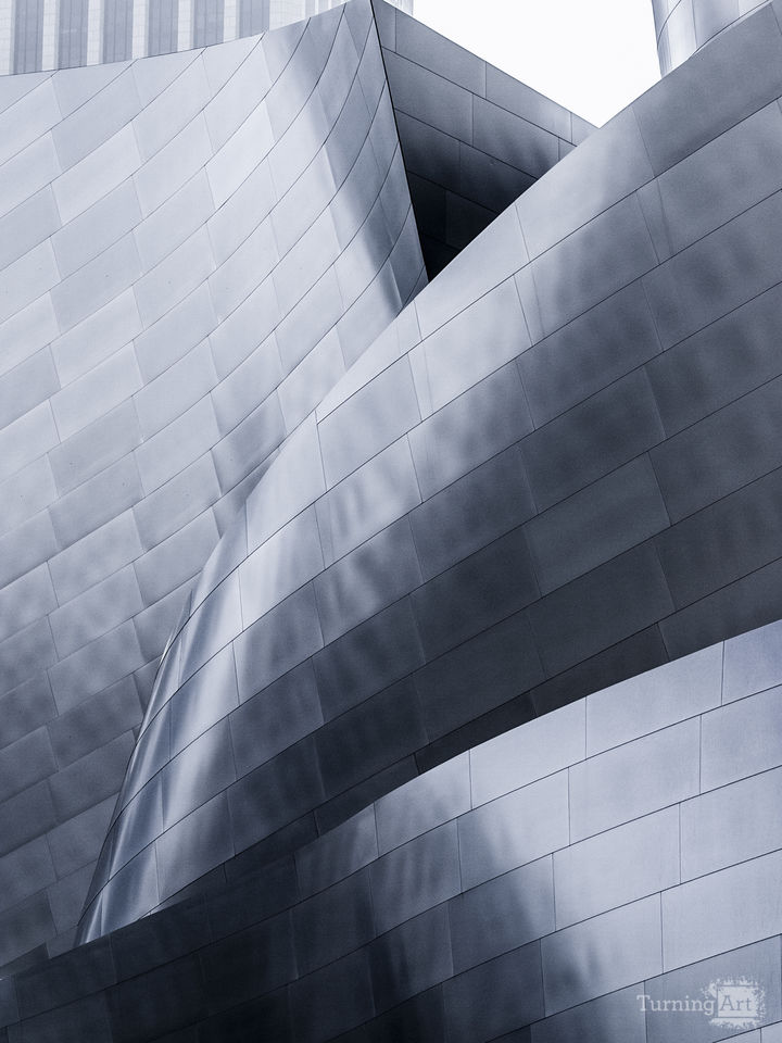 Disney Concert Hall #6