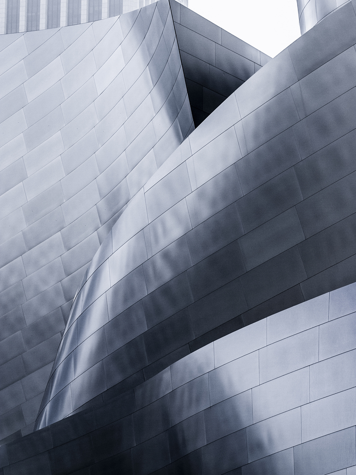 Disney Concert Hall #6