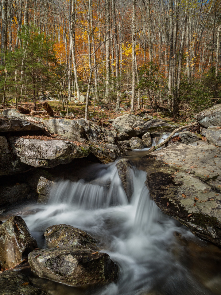 Cabin Creek in Fall