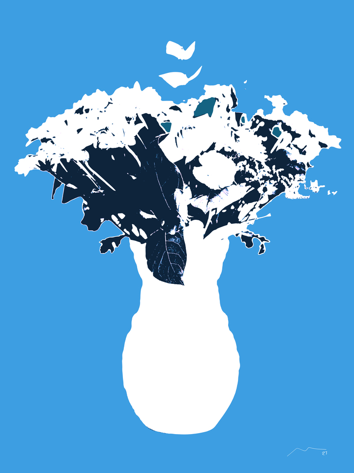 Marco Victorino popshop N249