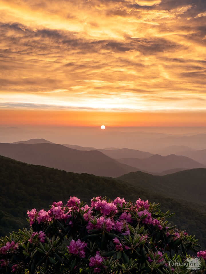 Caramel Candy Sunset