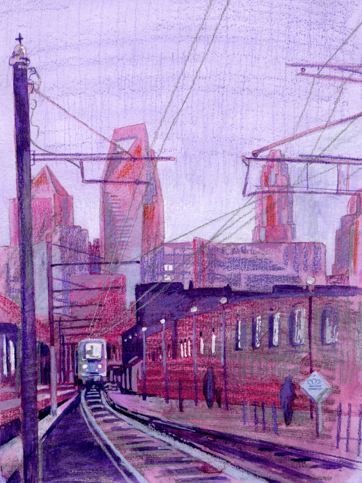 Purple Dusk Charlotte