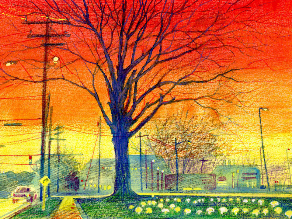 Fairy Ring Charlotte